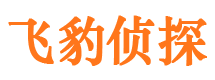 满城外遇调查取证